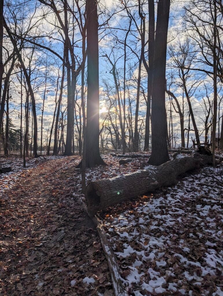 Hansen Nature Area, Ann Arbor