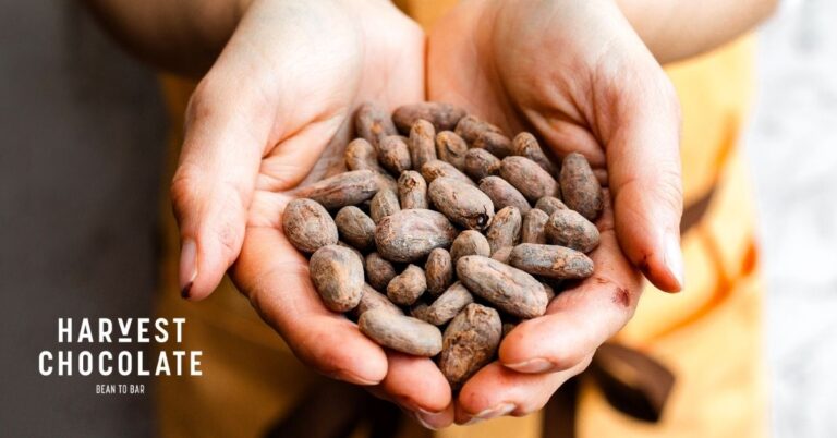 Harvest Chocolate